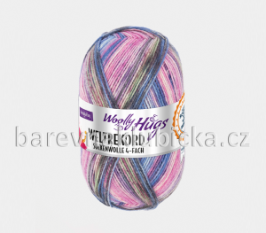 Woolly Hugs Weltrekord sockenwolle 4-fach *